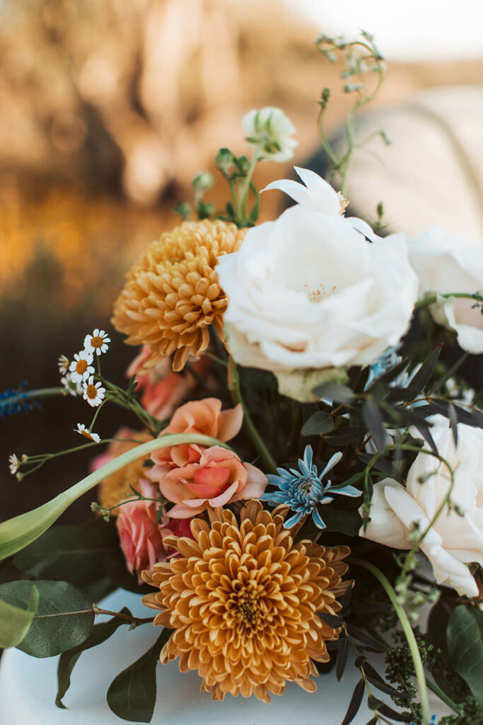 arizona elopement at lost dutchman state park