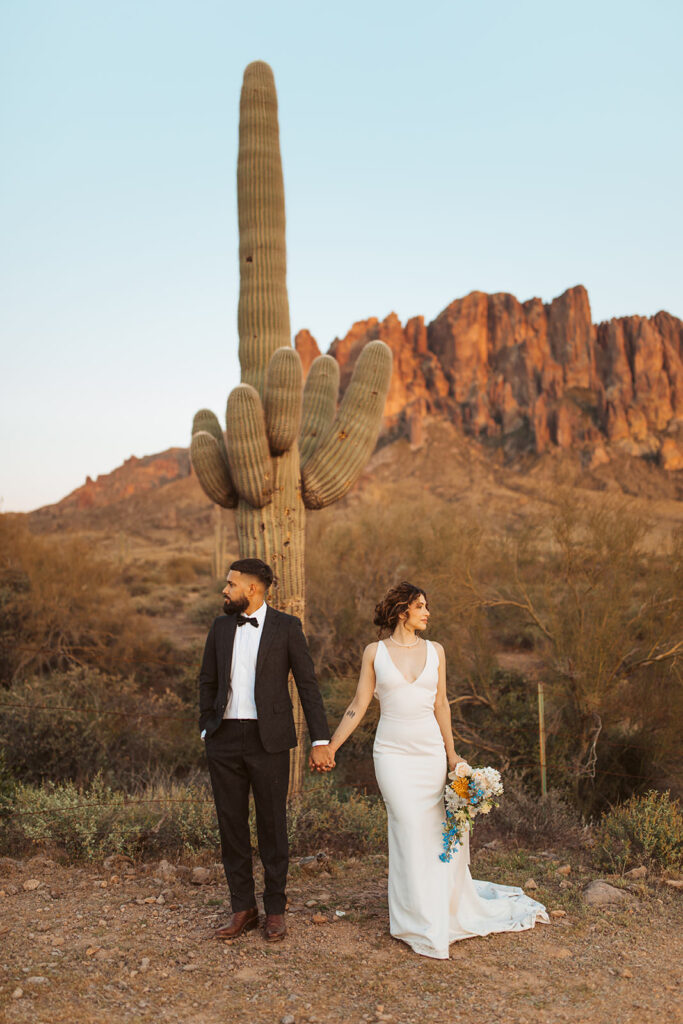 Arizona Elopement at lost dutchman state park