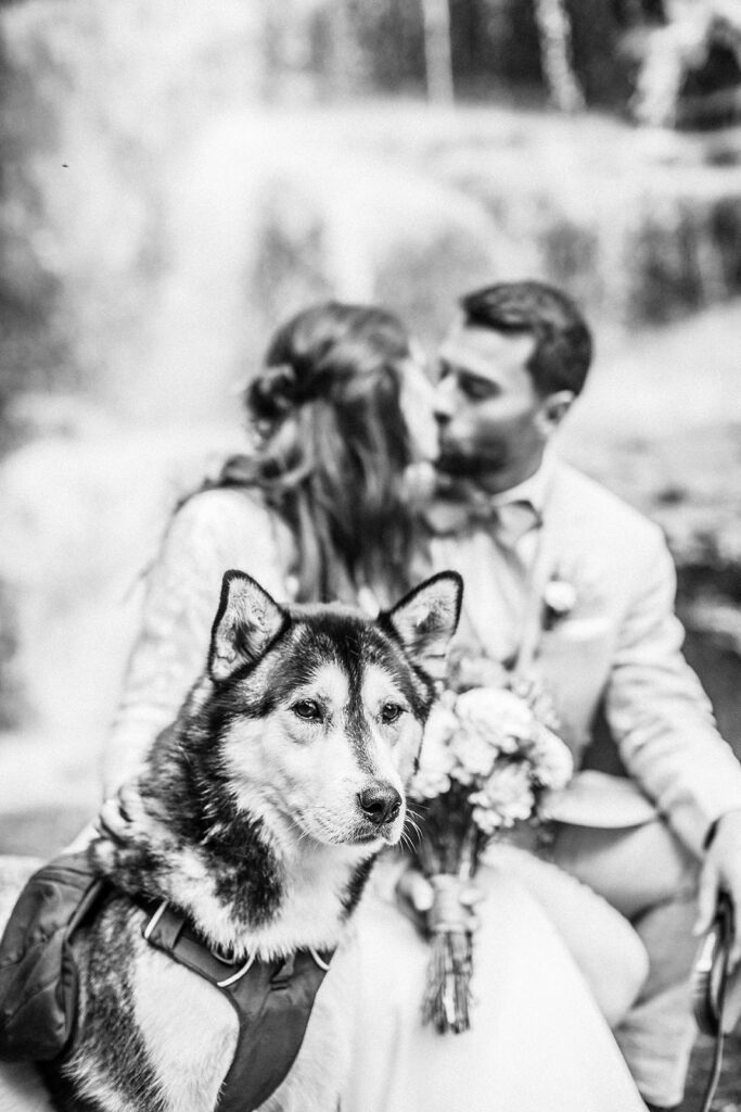 franconia maine elopement