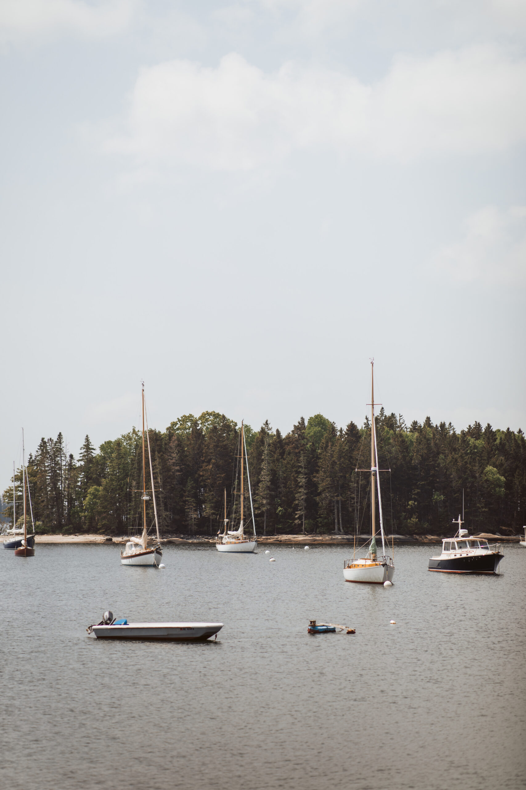 aragosta maine wedding