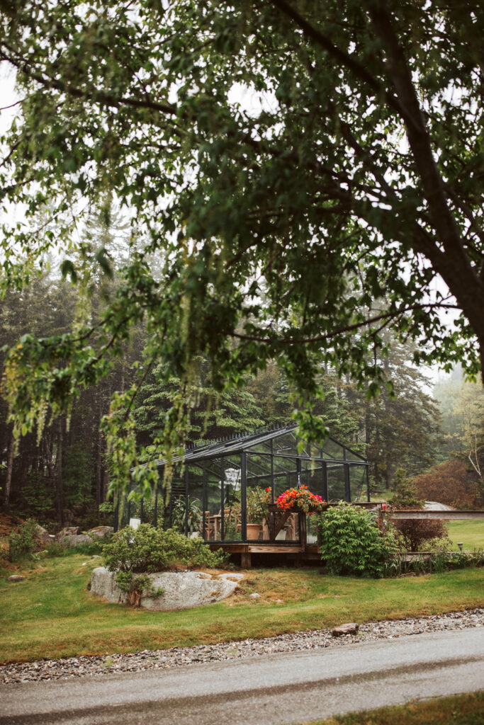 aragosta maine wedding
