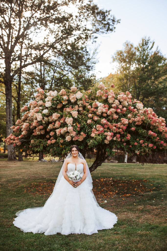 a wedding at stone barn